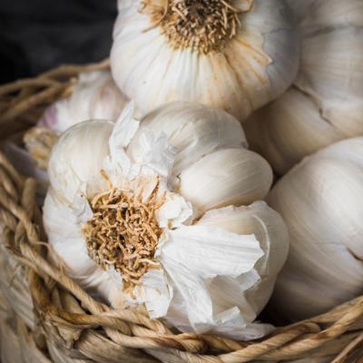 [햇땅] 해남 햇마늘 소 중 대 중량별 택1 벌마늘 육쪽마늘