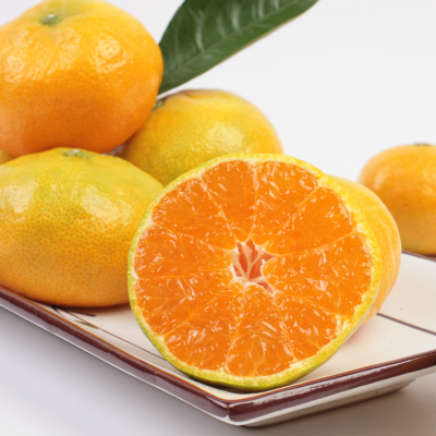 [햇땅] 제주 하우스감귤 실속형 선물용 모음 택1