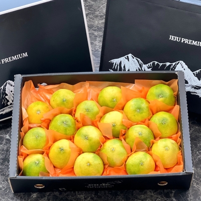 [햇땅] 제주 황금향 2.5KG 중과(11-14과 내외) 선물세트