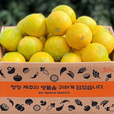 [햇땅] 제주 황금향 가정용 선물용 택1