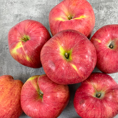 [햇땅] 경북사과 실속형 특정품 선물용 택1