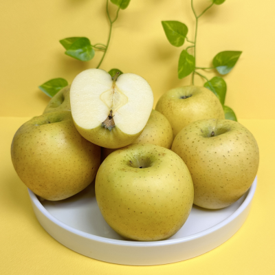 [햇땅] 시나노골드 정품 3kg 5kg 택1