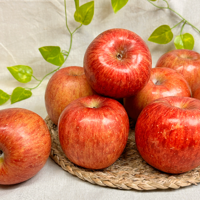 [햇땅] 경북사과 부사 실속형 2kg 3kg 택1