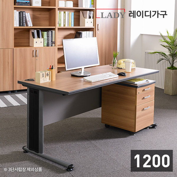 레이디가구 1200 더아카시아 일자책상