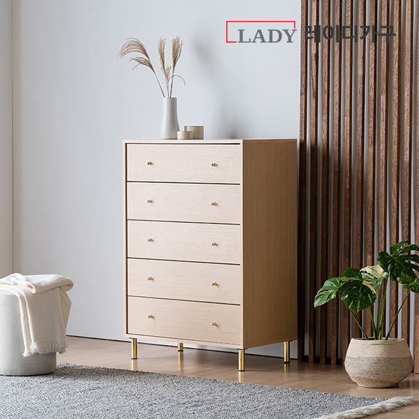 [8/12(화) 오후 3시 오픈] 레이디가구 모노 5단 서랍장