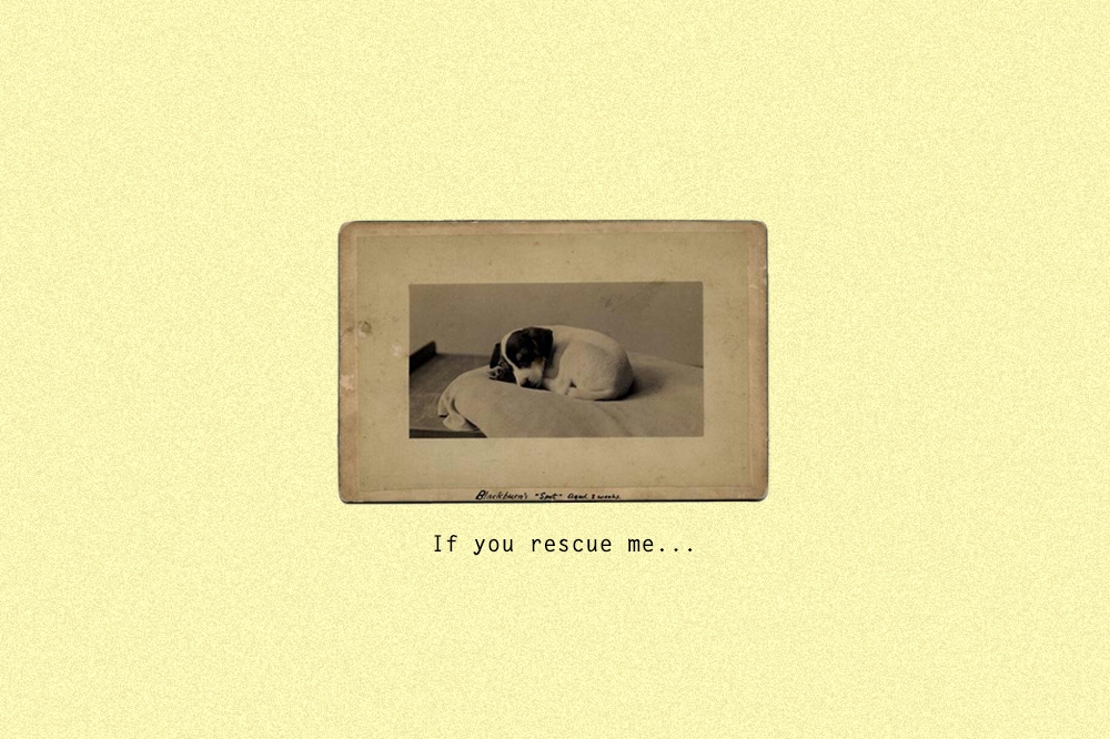 If you rescue me