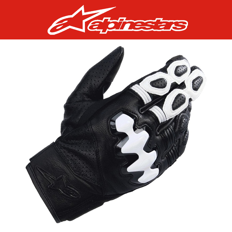 알파인스타 CELER V3 GLOVES - BLACK WHITE