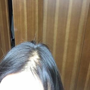 에디터이미지