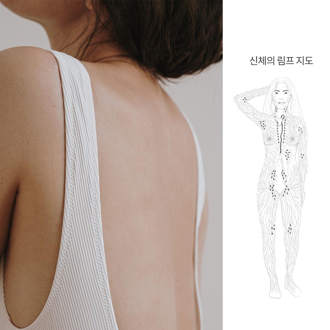 에디터이미지