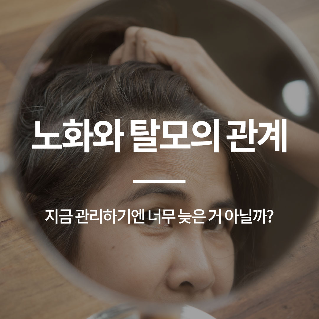 첨부이미지