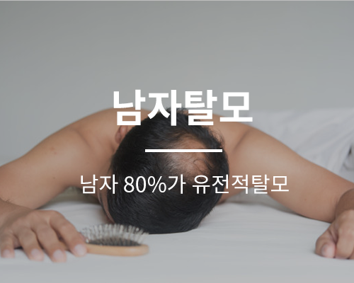 첨부이미지