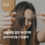 가늘고 얇은 모발 6개월 관리법