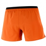 살로몬 크로스 5 숏 M (LC2058600) CROSS 5' SHORTS