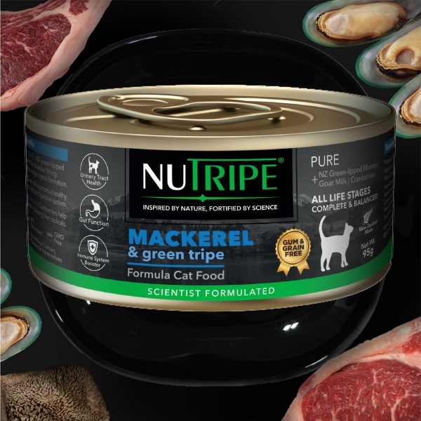 뉴트라이프 퓨어 고양이주식캔 고등어&그린트라이프 95g