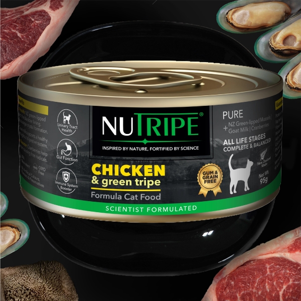 뉴트라이프 퓨어 고양이주식캔 치킨&그린트라이프 95g