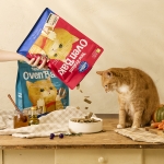 캣템 고양이 오븐베이크사료 소고기 1.3kg