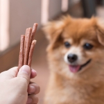 포비 비타비츠 기능성간식 힙앤조인트 소고기 120g