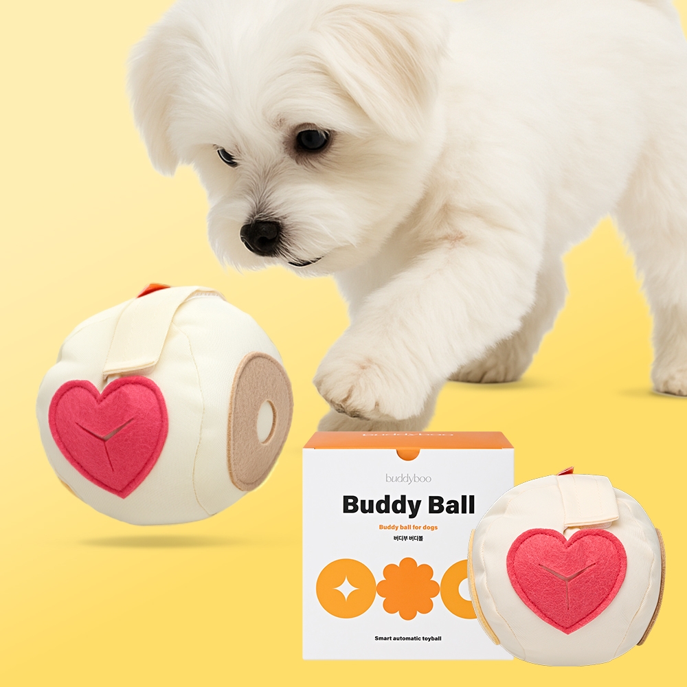 버디부 버디볼 움직이는 강아지 공놀이 노즈워크 장난감+오담트릿(노즈워크 간식)