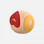 버디부 버디볼 움직이는 강아지 공놀이 노즈워크 장난감+오담트릿(노즈워크 간식)