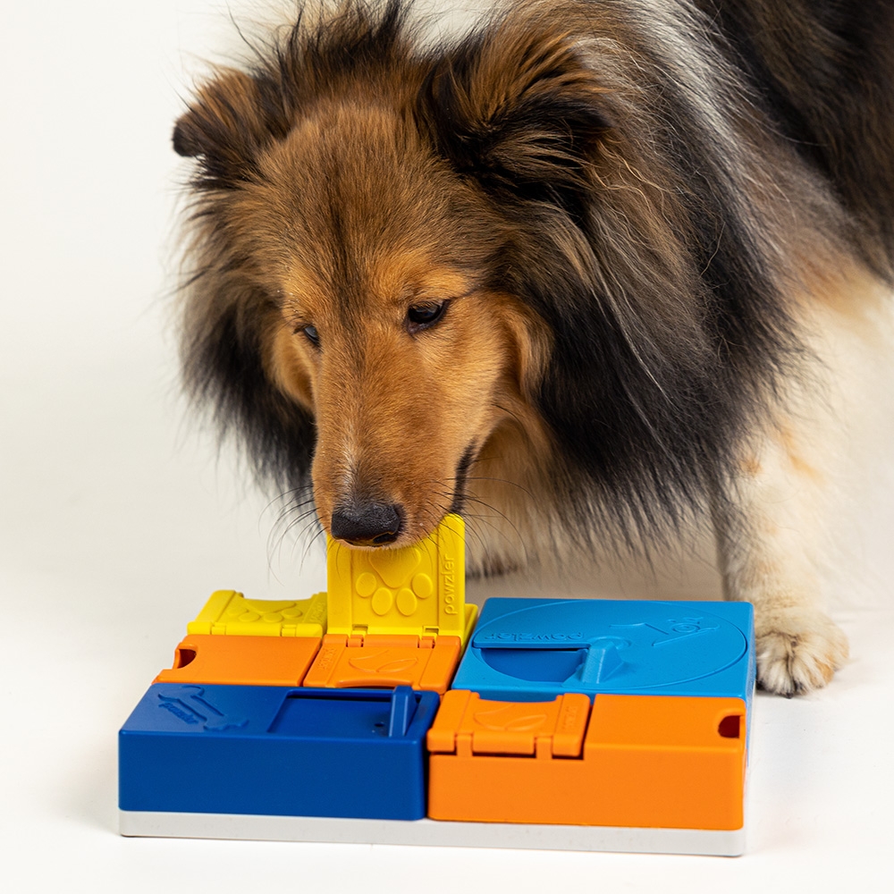 페슬러 노즈워크 장난감 포슬러 레인보우+페슬러 오메가 트릿 170g