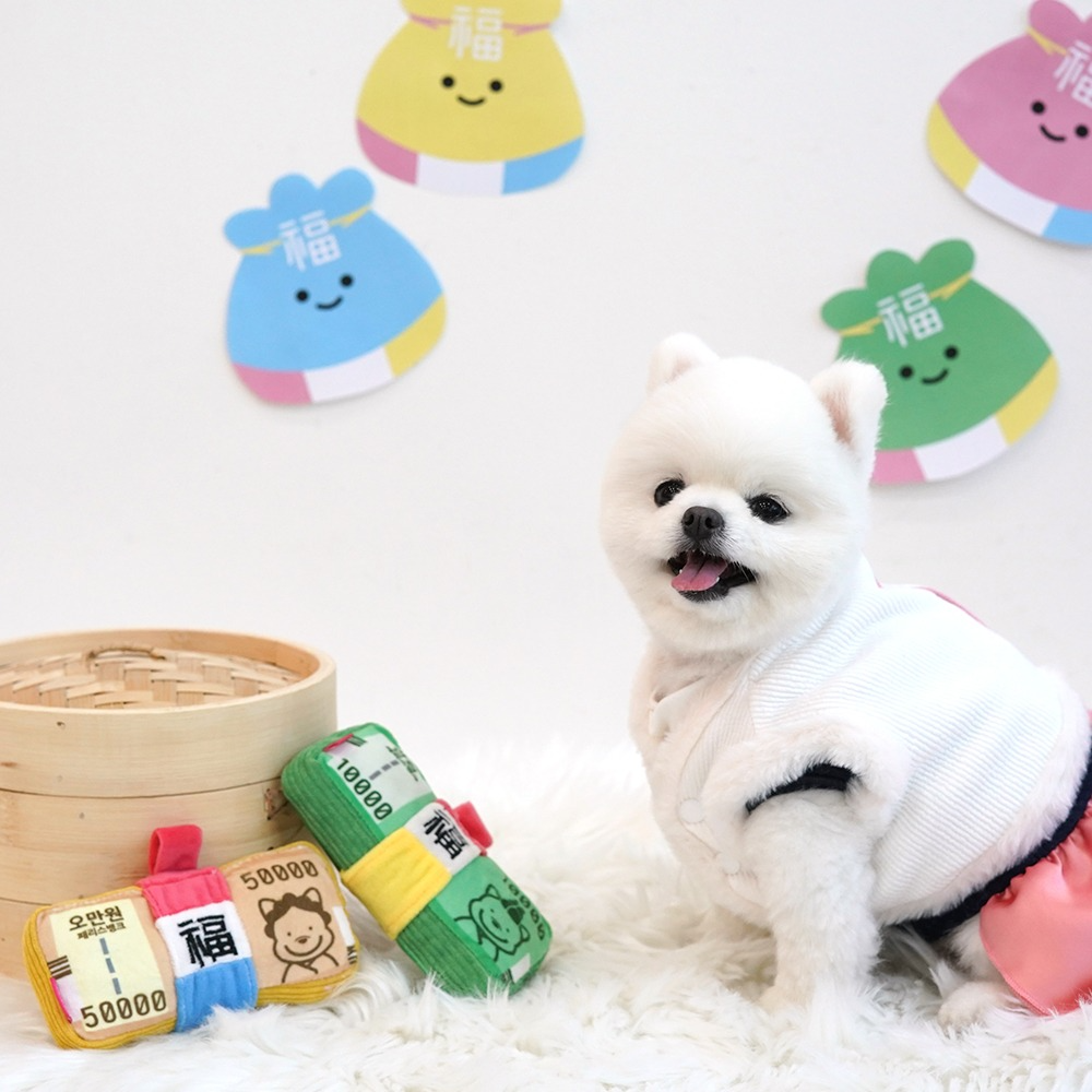 패리스독 럭키머니 토이 바스락+삑삑이+노즈워크 1P (색상랜덤발송)