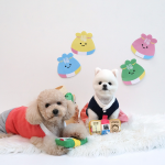 패리스독 럭키머니 토이 바스락+삑삑이+노즈워크 1P (색상랜덤발송)