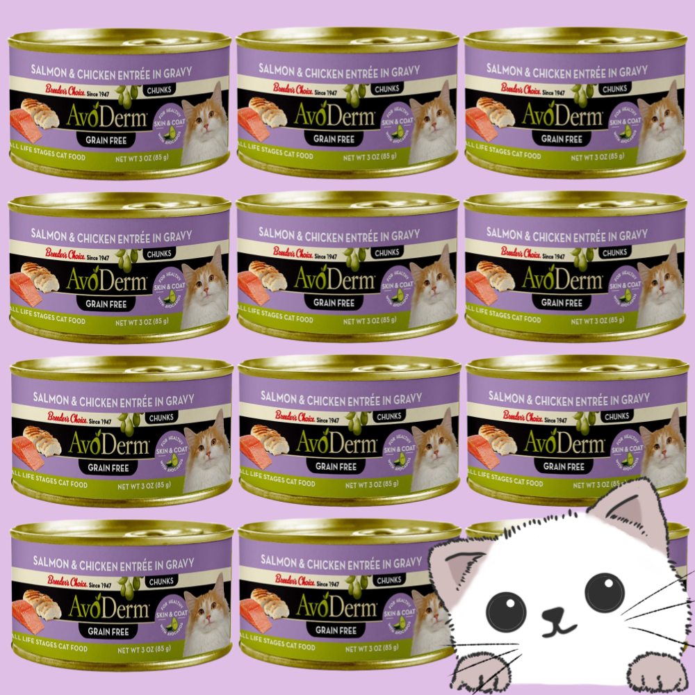 아보덤 캣 내추럴 그레인프리 주식캔 연어+치킨 85gX12개