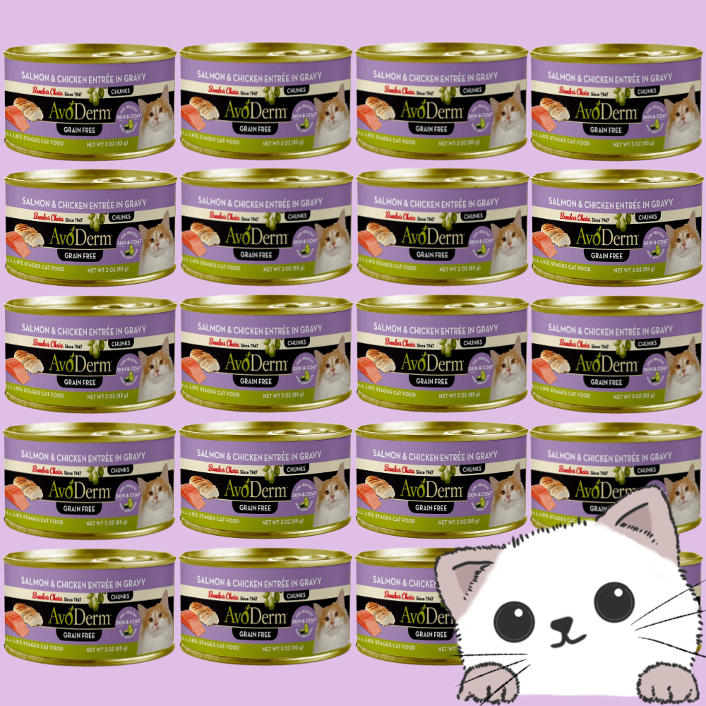 아보덤 캣 내추럴 그레인프리 주식캔 연어+치킨 85gX24개