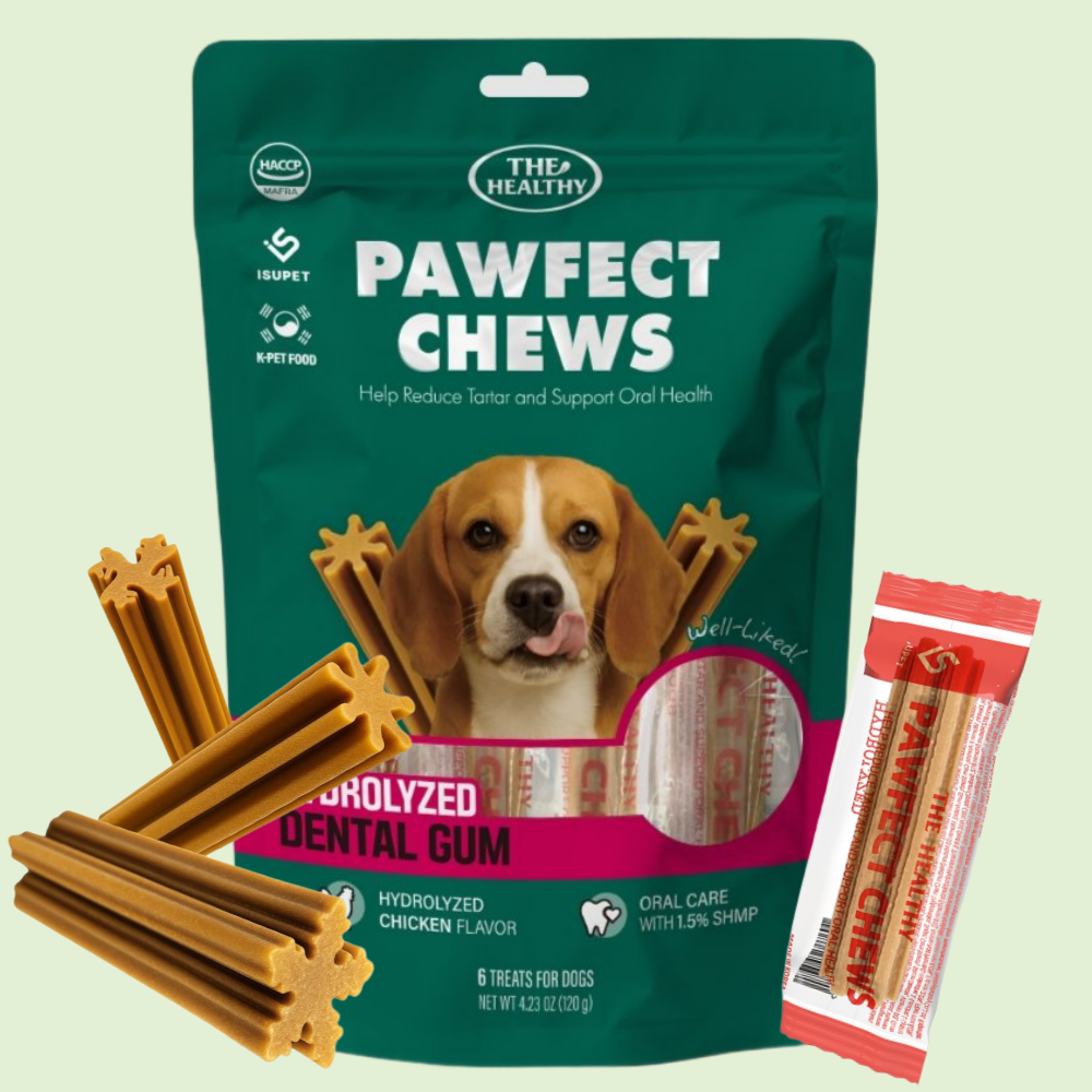 더헬씨 파우팩트 가수분해 덴탈츄 닭고기 120g