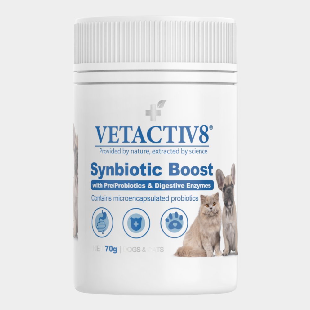 벳액티브8 신바이오틱 부스트 500억 유산균 장건강영양제 70g