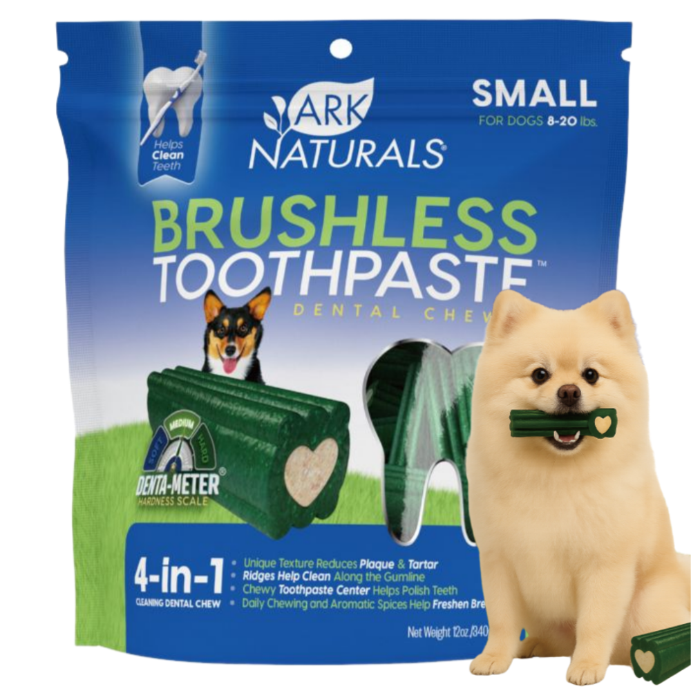 아크네추럴스 브러시리스 치약껌 4in1 소형 340g