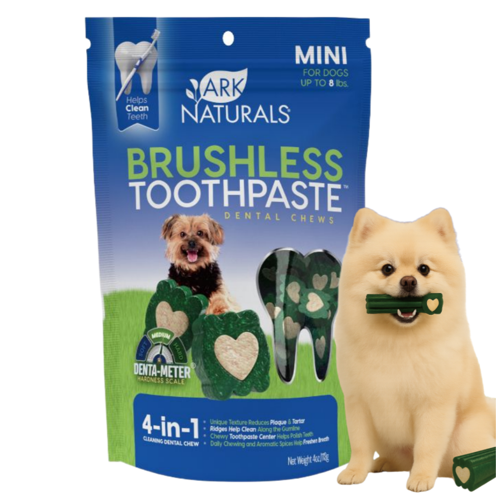 아크네추럴스 브러시리스 치약껌 4in1 미니 113g