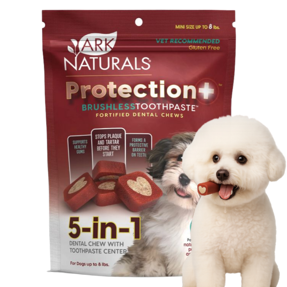 아크네추럴스 프로텍션 브러시리스 치약껌 5in1 미니 113g