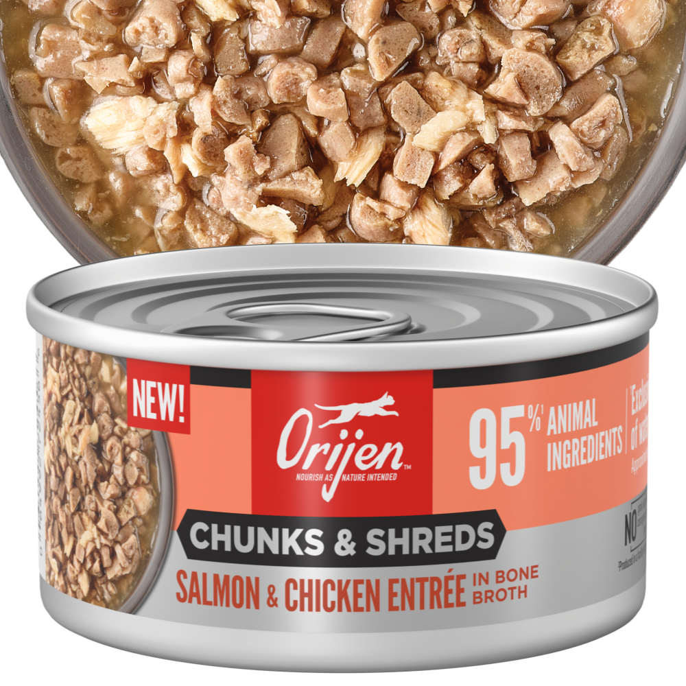 오리젠 캣 주식캔 고양이 습식사료 살몬+치킨 85g