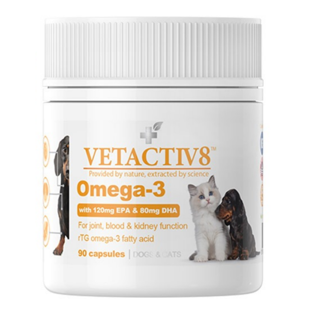 벳액티브8 고품질 고순도 고흡수 rTG 오메가3+EPA+DHA 영양제 90캡슐