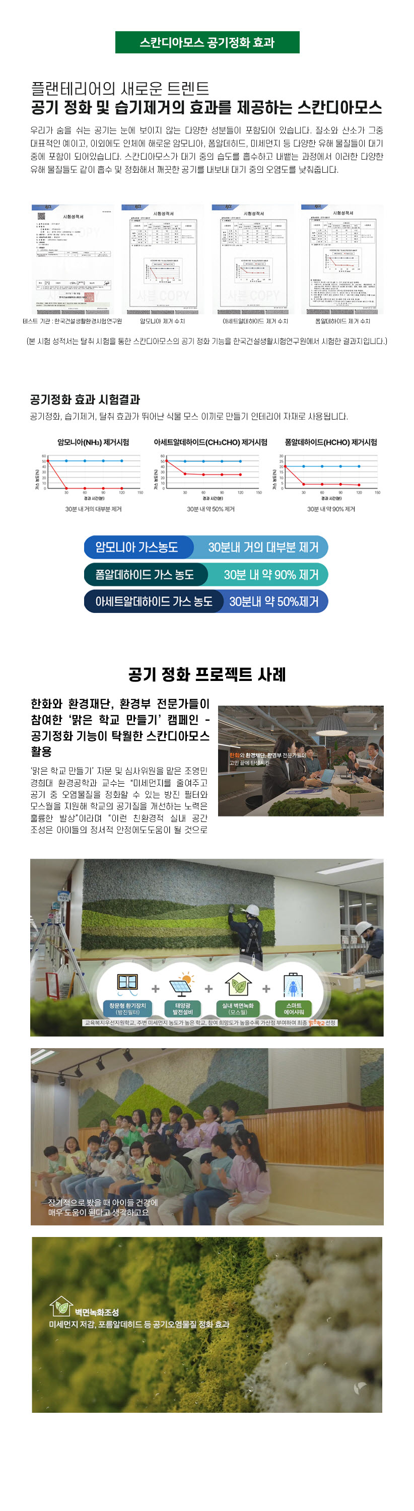 스칸디아모스  지속가능한 인테리어 공기정화효과 관리가 필요없는 북유럽 모스월.jpg