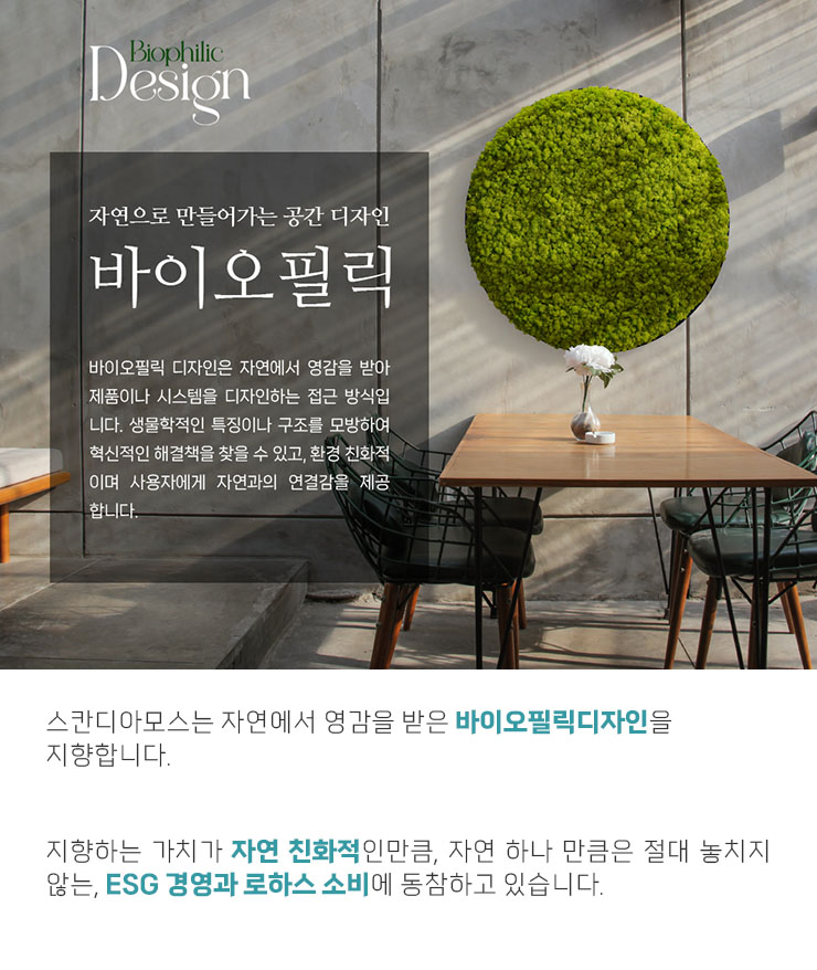 천연이끼 스칸디아모스 아트월 북유럽 바이오필릭 디자인 소개 지속가능한 MOSSWALL 벽면녹화 관리가 필요없는 MOSSTILE 그린월 그린월.jpg