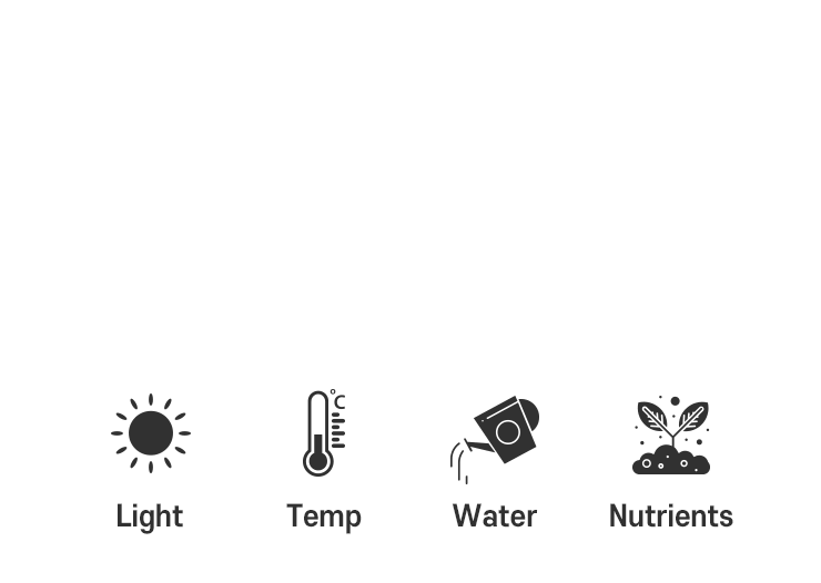 관리가 필요없는 스칸디아모스 지속가능한 바이오필릭 인테리어 북유럽 천연이끼 아트월.gif