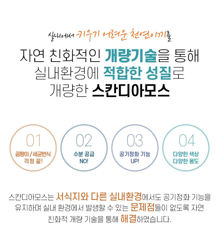 북유럽 천연이끼 스칸디아모스 인테리어 바이오필릭 자연친화 아트월 관리가 필요없는 지속가능한 MOSSWALL 그린월.jpg