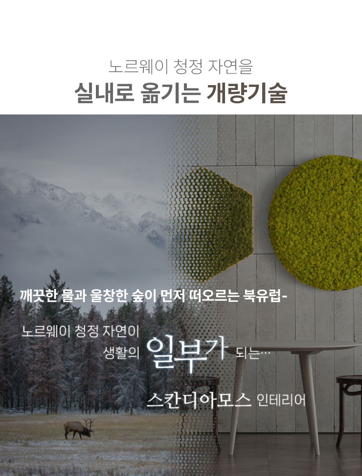 북유럽 천연이끼 스칸디아모스 인테리어 바이오필릭 자연친화 아트월 관리가 필요없는 지속가능한 MOSSWALL..jpg