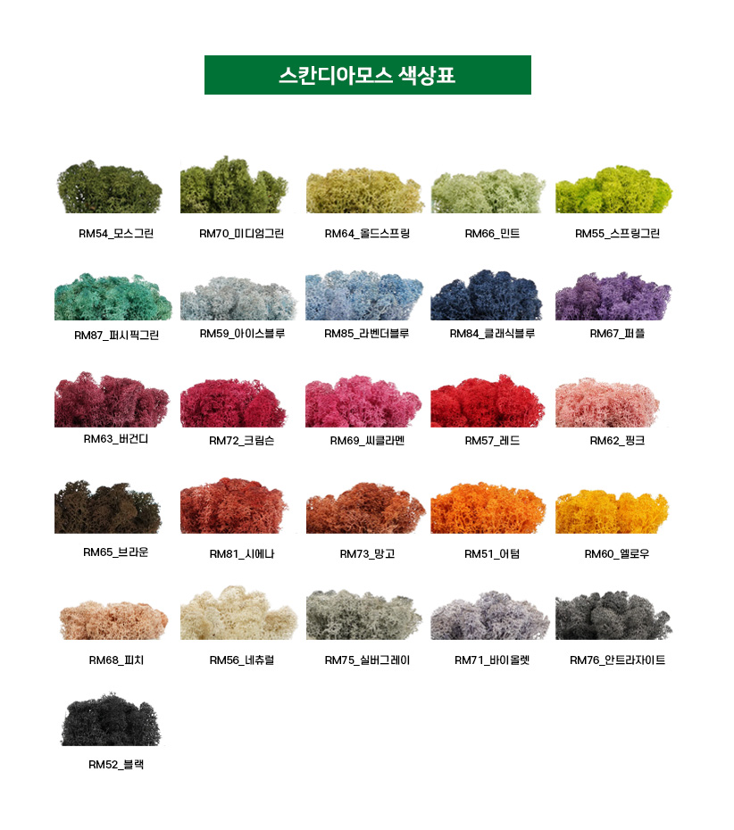 북유럽 천연이끼 스칸디아모스 색상 정보 자연친화 바이오필릭 인테리어 관리가 필요없는 지속가능한 벽면녹화 모스월아트.jpg