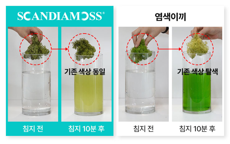 북유럽 천연이끼 스칸디아모스 색상 정보 자연친화 바이오필릭 인테리어 관리가 필요없는 지속가능한 벽면녹화 모스월아트 그린월.jpg