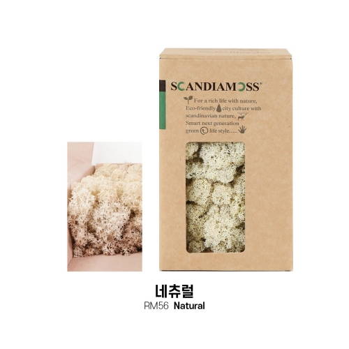 [스칸디아모스 DIY이끼 150g]RM150 컬러-26가지북유럽 천연이끼 스칸디아모스 공기정화식물 DIY인테리어 가드닝 이끼 공예장식 만들기