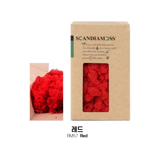 [스칸디아모스 DIY이끼 150g]RM150 컬러-26가지북유럽 천연이끼 스칸디아모스 공기정화식물 DIY인테리어 가드닝 이끼 공예장식 만들기