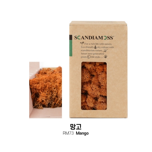 [스칸디아모스 DIY이끼 150g]RM150 컬러-26가지북유럽 천연이끼 스칸디아모스 공기정화식물 DIY인테리어 가드닝 이끼 공예장식 만들기