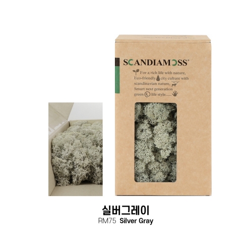 [스칸디아모스 DIY이끼 150g]RM150 컬러-26가지북유럽 천연이끼 스칸디아모스 공기정화식물 DIY인테리어 가드닝 이끼 공예장식 만들기