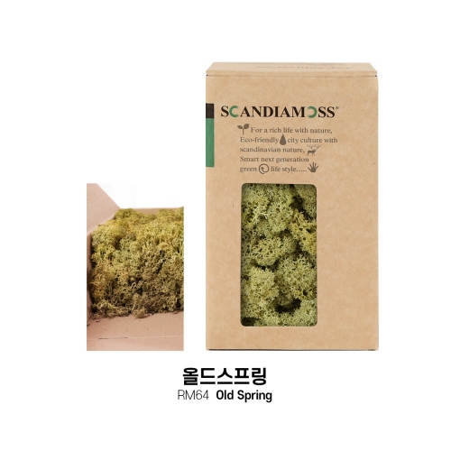 [스칸디아모스 DIY이끼 150g]RM150 컬러-26가지북유럽 천연이끼 스칸디아모스 공기정화식물 DIY인테리어 가드닝 이끼 공예장식 만들기