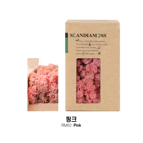 [스칸디아모스 DIY이끼 150g]RM150 컬러-26가지북유럽 천연이끼 스칸디아모스 공기정화식물 DIY인테리어 가드닝 이끼 공예장식 만들기