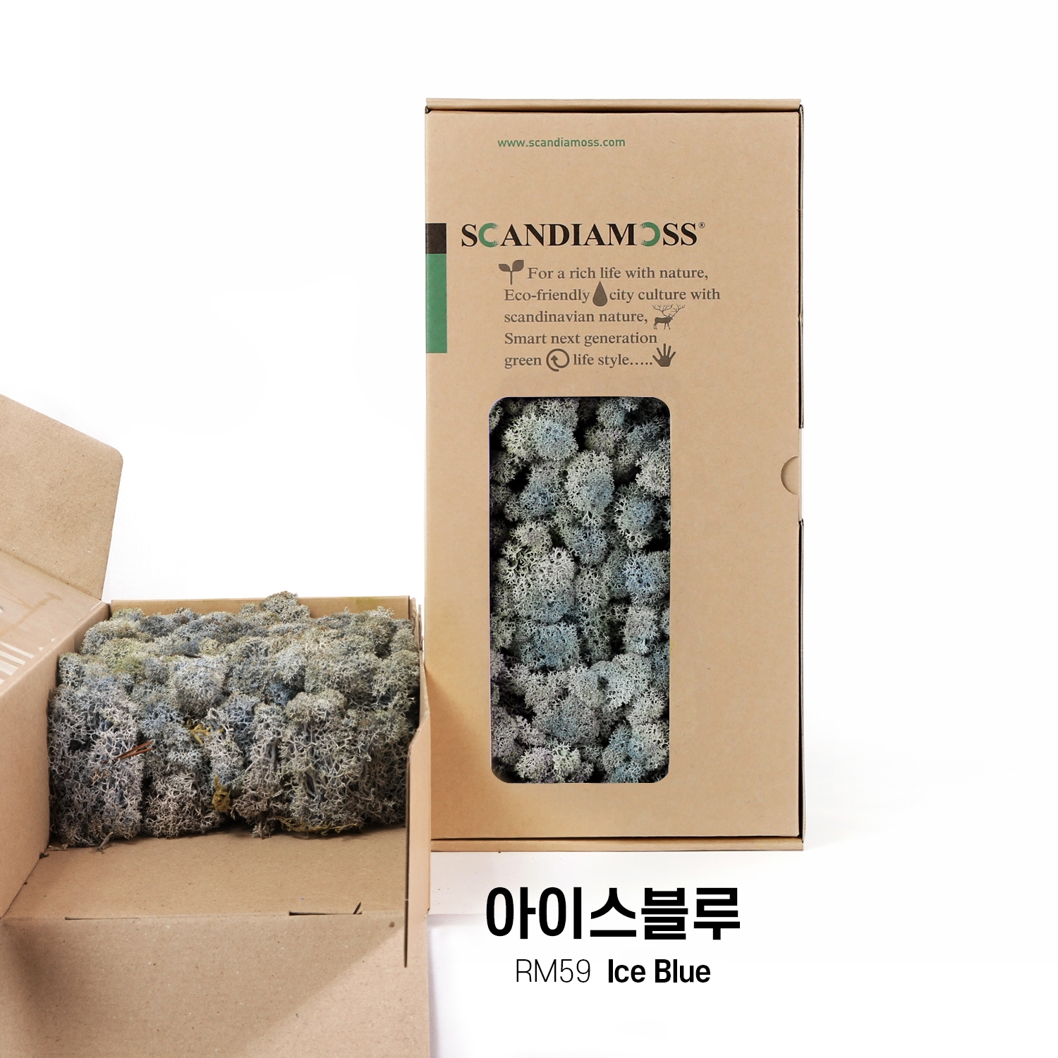 [스칸디아모스 DIY이끼 500g]RM500 컬러-59_아이스블루공기정화식물 스칸디아모스 천연이끼 학교수업 방과후수업 체험학습 스칸디아모스액자 화분 만들기