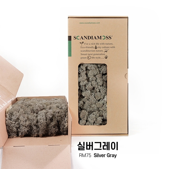 [스칸디아모스 DIY이끼 500g]RM500 컬러-75_실버그레이공기정화식물 스칸디아모스 천연이끼 공예 만들기 체험 이끼장식 만들기